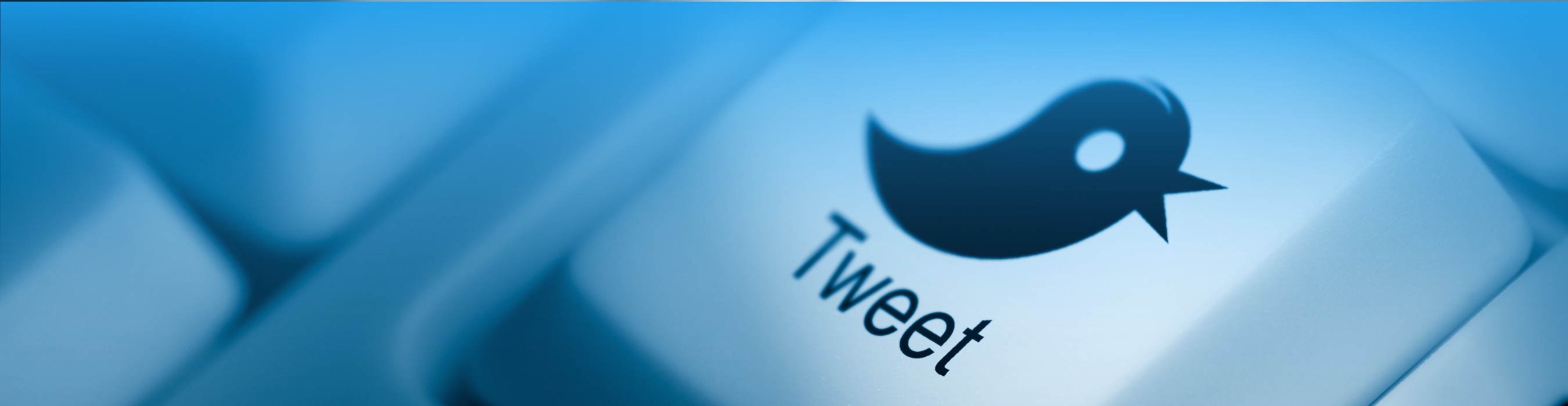 Twitter button with bird on keyboard